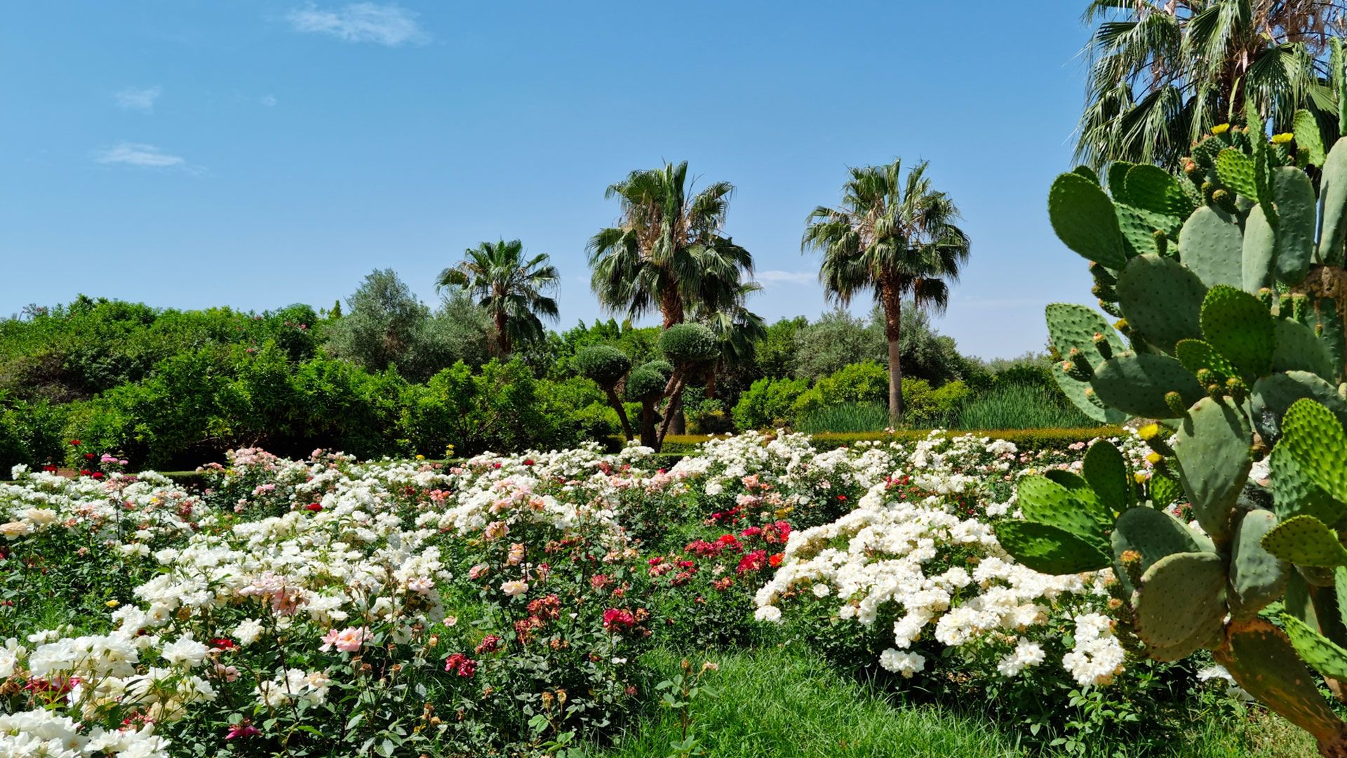 villa 5 Pièces en vente sur Marrakech (40000)