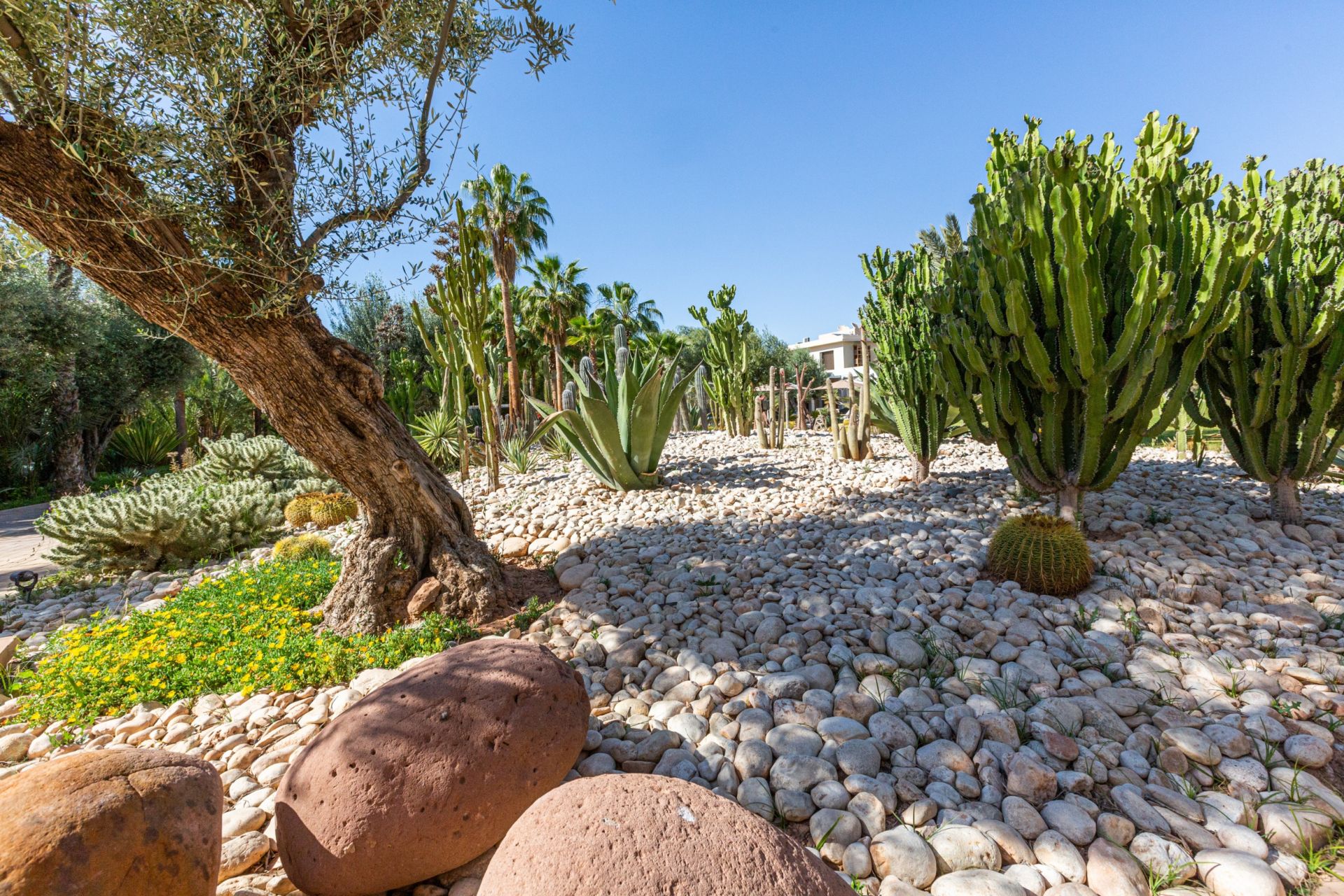 villa 12 Pièces en vente sur Marrakech (40000)